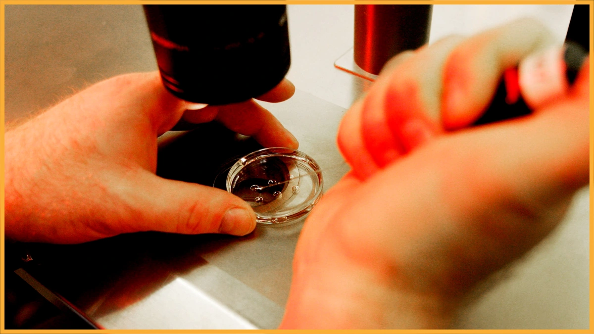 Syntactic Foam | Overview, Qualities, Uses, and Recent Updates